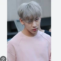 โชกุน