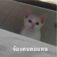 แอดเอง