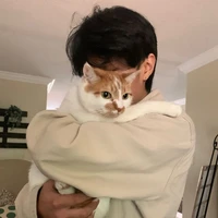 ไต้ฝุ่น|นอ.