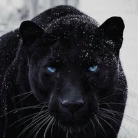 ภวินท์•แปลงกาย