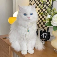 อรัญญา•แปลงกาย