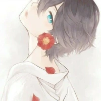 San Nico Torres Deil (Ia)