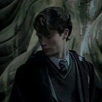 Tom Riddle/ ML