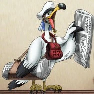 gaivota mensageiro 