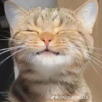 แอด
