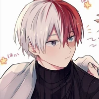 todoroki shoto [O.P]