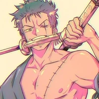 Zoro {D.D.}
