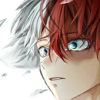 shoto todoroki