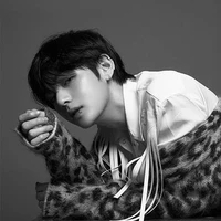Kim Taeyoung ( Tae tae) Mafia name V