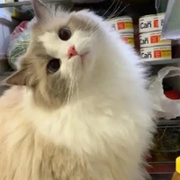แอด