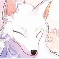 หมาป่า