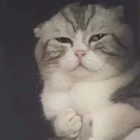 แอด