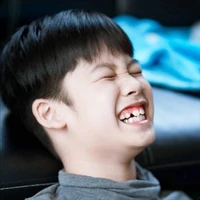 budi