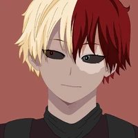 Todoroki♡⑅