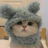 แอดเอง