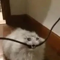 แอดเอง