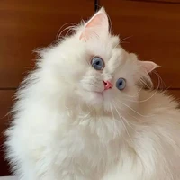 ？？？