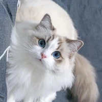 ？？？