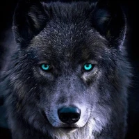 Min (lobo de Jm)