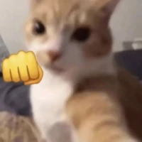 chef pâtissier (auteur)