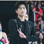 yang / black X