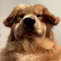 ซูซู