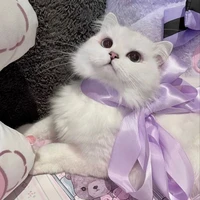 โรส(น.อ)​