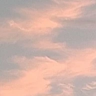 มนุษย์(ทุกคน)