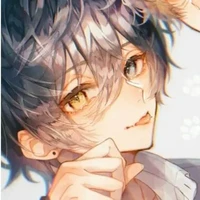 Noël yuki
