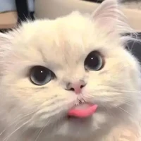 แอด