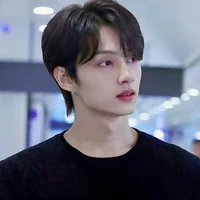 Wen Junhui