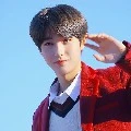 kino