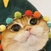 ma_meow