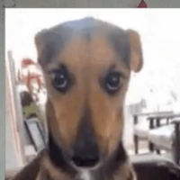 Mãe