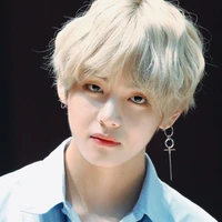 Kim taehyung (v)