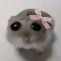 เป็นได้ทุกอย่างให้เธอแล้ว