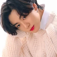 kim jungkook (alpha ml brother)