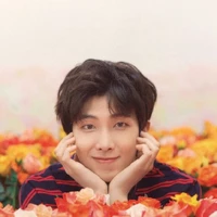 Jeon Namjoon/Rm(alpha)