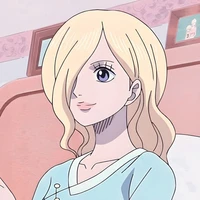 🌼𝑺𝒐𝒓𝒂🌼