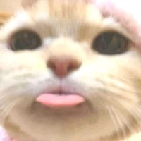 แอดเองง