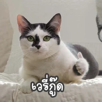 แอดชอบพี่รก