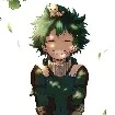 IZUKU MIDORIYA(DEKU)
