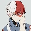 SHOTO TODOROKI