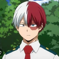 todoroki