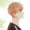 dev assistant
