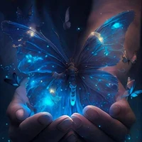 Butterfly (system)