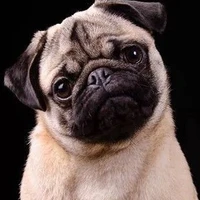 Bruno