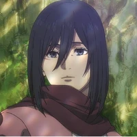Mikasa
