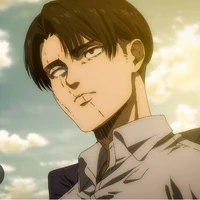 Levi