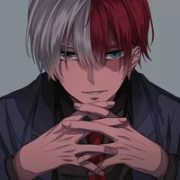 Shoto Todoroki